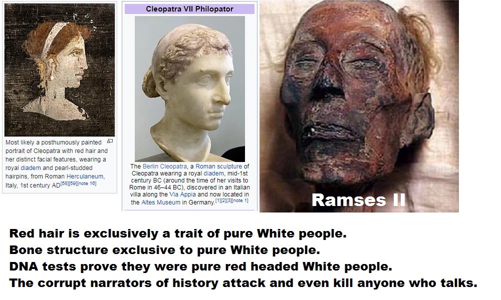 Egypt Pharoah DNA.jpg