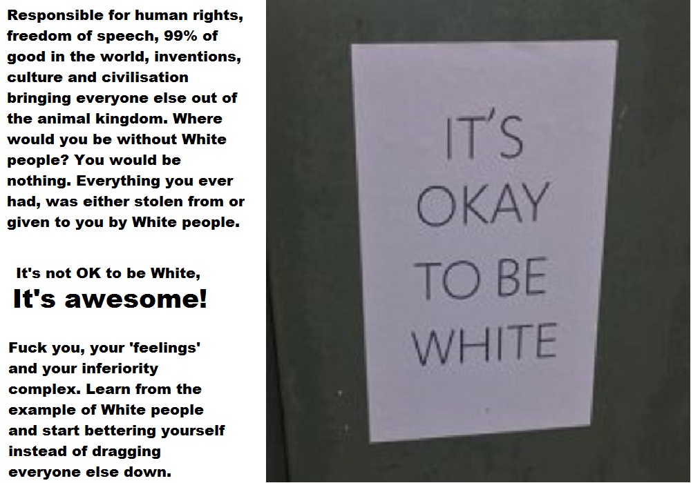 It's OK To Be White.jpg