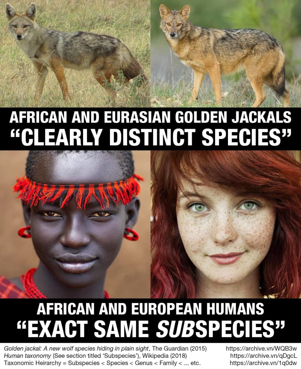 Sub Species 1.jpg