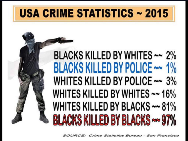 USA Crime Statistics.png