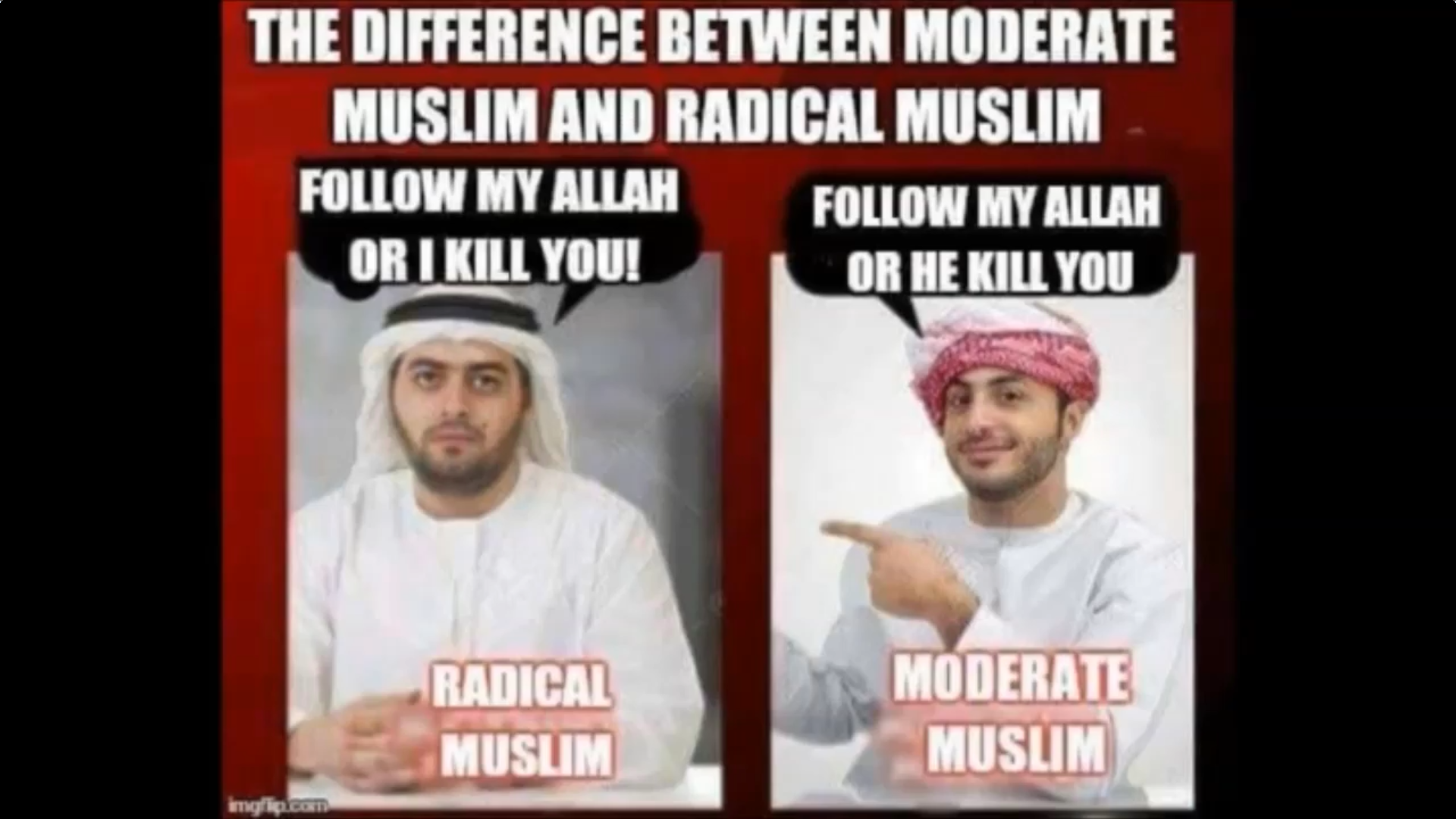 moderate radical.png