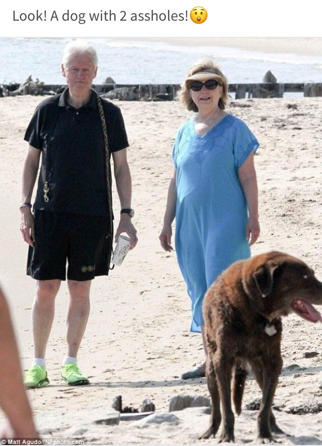 Clintons - Dog.jpeg