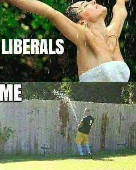 Leftist - Liberals And Me.jpeg