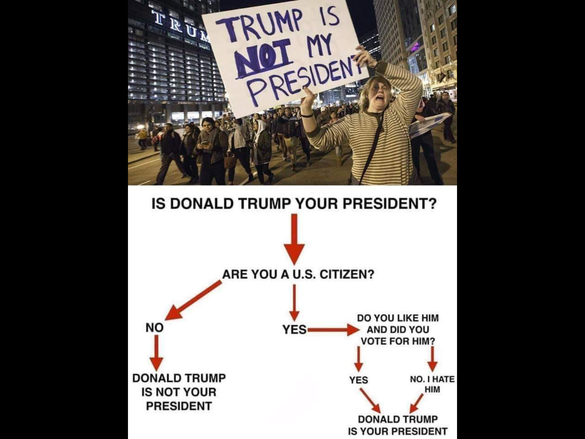 Trump - Not My President 1.png