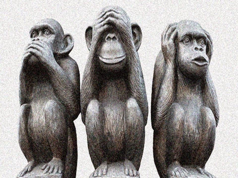 Monkey ignorance.jpg