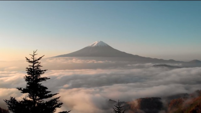 Do Not Go Gentle In To That Good Night