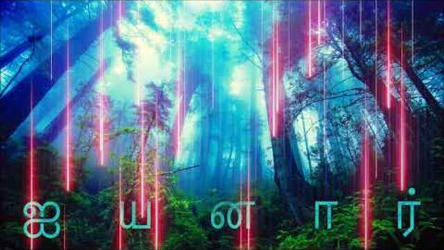 The Forest Of Aiyanar