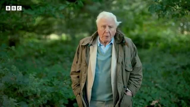 Sir David Attenborough 88 precepts